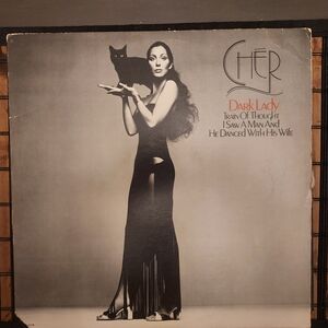 Vintage Vinyl Cher Dark Lady ◇ 1974